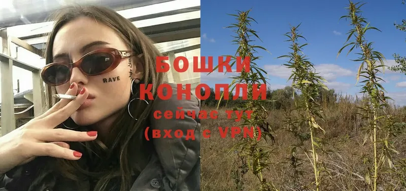 Шишки марихуана OG Kush  Опочка 